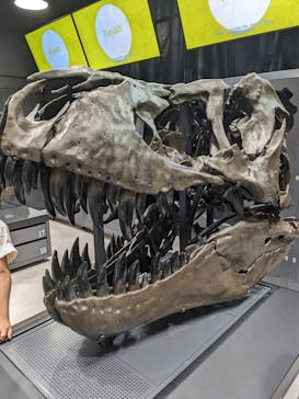 福井県立恐竜博物館に投稿された画像（2023/7/30）