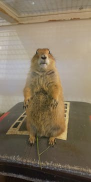 アニタッチみなとみらいに投稿された画像（2023/7/30）