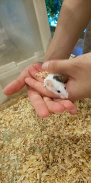 アニタッチみなとみらいに投稿された画像（2023/7/30）