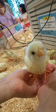 アニタッチみなとみらいに投稿された画像（2023/7/30）