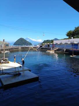 伊豆・三津シーパラダイスに投稿された画像（2023/7/30）