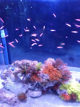 伊豆・三津シーパラダイスに投稿された画像（2023/7/30）