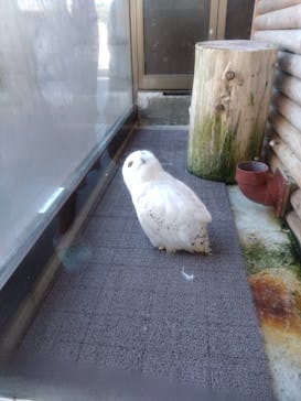 伊豆・三津シーパラダイスに投稿された画像（2023/7/30）