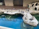 アクアワールド茨城県大洗水族館に投稿された画像（2023/7/30）