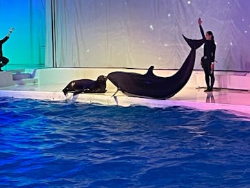 アクアワールド茨城県大洗水族館に投稿された画像（2023/7/30）
