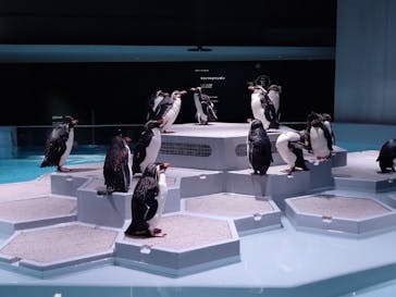 AOAO SAPPOROに投稿された画像（2023/7/30）