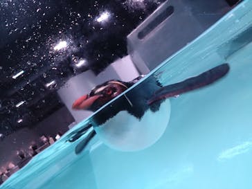 AOAO SAPPOROに投稿された画像（2023/7/30）