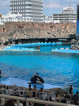 名古屋港水族館に投稿された画像（2023/7/30）