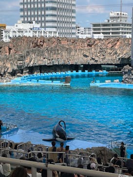 名古屋港水族館に投稿された画像（2023/7/30）