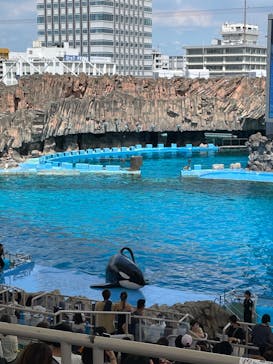 名古屋港水族館に投稿された画像（2023/7/30）