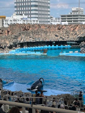 名古屋港水族館に投稿された画像（2023/7/30）