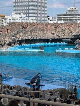名古屋港水族館に投稿された画像（2023/7/30）