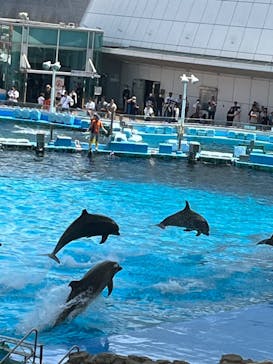 名古屋港水族館に投稿された画像（2023/7/30）