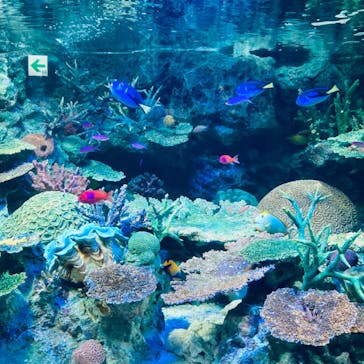 サンシャイン水族館に投稿された画像（2023/7/30）