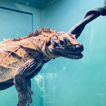サンシャイン水族館に投稿された画像（2023/7/30）