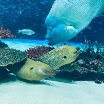 サンシャイン水族館に投稿された画像（2023/7/30）