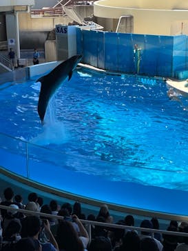 新江ノ島水族館に投稿された画像（2023/7/30）