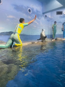 新江ノ島水族館に投稿された画像（2023/7/30）