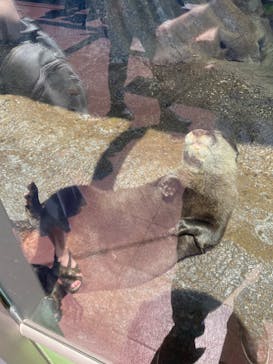 新江ノ島水族館に投稿された画像（2023/7/30）