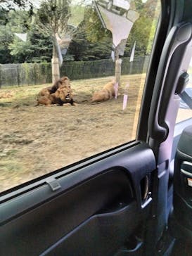 姫路セントラルパークに投稿された画像（2023/7/30）