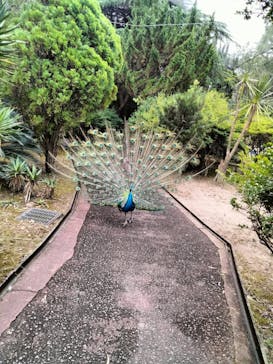 姫路セントラルパークに投稿された画像（2023/7/30）