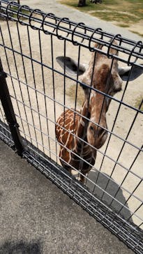 姫路セントラルパークに投稿された画像（2023/7/30）