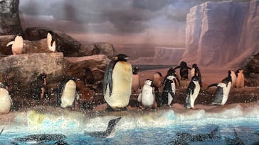 名古屋港水族館に投稿された画像（2023/7/30）