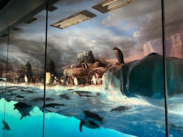 名古屋港水族館に投稿された画像（2023/7/30）