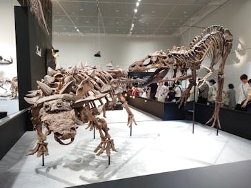 大阪市立自然史博物館に投稿された画像（2023/7/30）