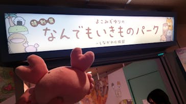 しながわ水族館に投稿された画像（2023/7/30）