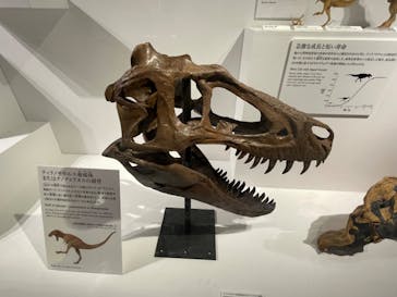 DinoScience 恐竜科学博 2023@TOKYO MIDTOWNに投稿された画像（2023/7/30）