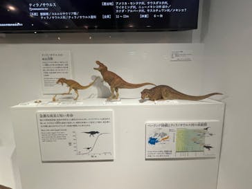DinoScience 恐竜科学博 2023@TOKYO MIDTOWNに投稿された画像（2023/7/30）