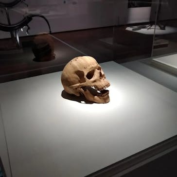 あべのハルカス美術館に投稿された画像（2023/7/30）