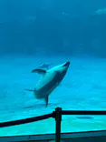 名古屋港水族館に投稿された画像（2023/7/30）