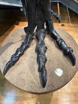 福井県立恐竜博物館に投稿された画像（2023/7/30）