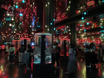 マクセル アクアパーク品川に投稿された画像（2023/7/30）