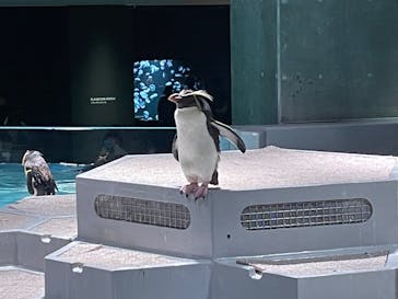 AOAO SAPPOROに投稿された画像（2023/7/30）