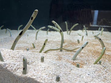 AOAO SAPPOROに投稿された画像（2023/7/30）