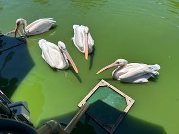伊豆シャボテン動物公園に投稿された画像（2023/7/30）
