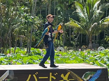 美らヤシパークオキナワ・東南植物楽園に投稿された画像（2023/7/30）