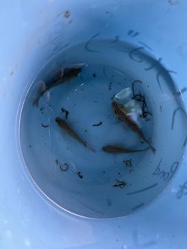 美らヤシパークオキナワ・東南植物楽園に投稿された画像（2023/7/30）