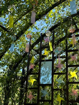 横浜イングリッシュガーデンに投稿された画像（2023/7/30）