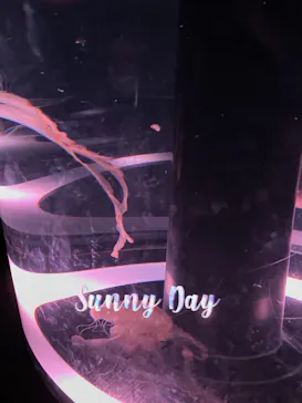 マクセル アクアパーク品川に投稿された画像（2023/7/30）