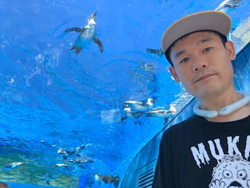 サンシャイン水族館に投稿された画像（2023/7/30）