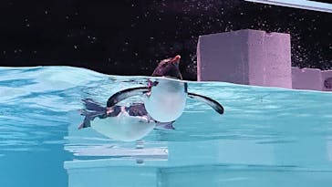 AOAO SAPPOROに投稿された画像（2023/7/30）