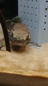 AOAO SAPPOROに投稿された画像（2023/7/30）