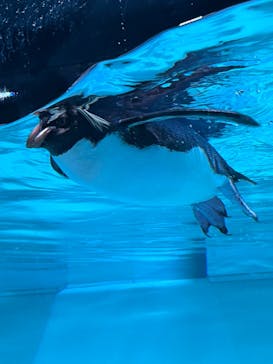 AOAO SAPPOROに投稿された画像（2023/7/30）