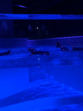 AOAO SAPPOROに投稿された画像（2023/7/30）