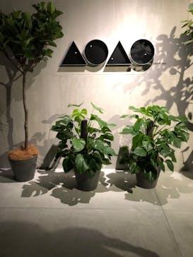 AOAO SAPPOROに投稿された画像（2023/7/30）