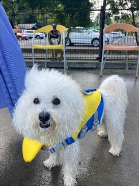 わんダフルネイチャーヴィレッジに投稿された画像（2023/7/30）